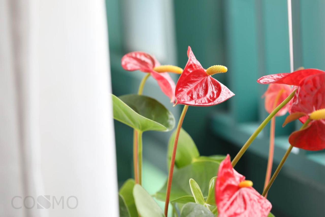 Shanghai Cosmo World Union Service Apartment Ngoại thất bức ảnh